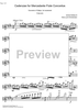 Cadenza Concerto E Major  1st and  2nd movement - Flute