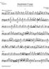 Divertimento F Major KV253 - Eb Horn 1