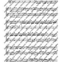 Sonata e minor - Performing Score