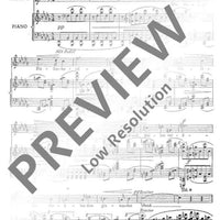 Heimliche Lieder der Nacht