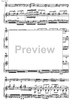 Concerto for guitar and strings - Score