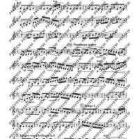 Due Divertimenti brillanti - Set of Parts