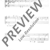 6 Bagatellen - Performing Score