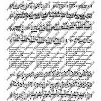 100 Technical Paraphrases on Kreutzer-Etudes