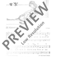 Die schönsten Volks- und Kinderlieder