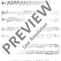 6 Duette - Performing Score