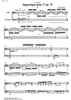 Impromptu No.17 Op.79