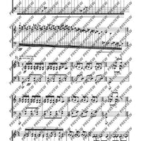 Dream of the Cherry Blossoms