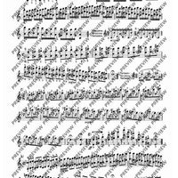 100 Technical Paraphrases on Kreutzer-Etudes