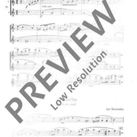 Modern Orchestral Studies for Flute