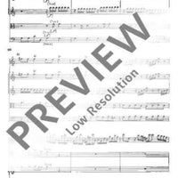 Concerto C Major - Full Score