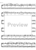 Geschichten Aus dem Wienerwald Op.325
