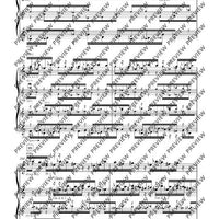 Hamburg Concerto - Piano Score and Solo Part