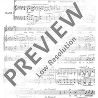 Heimliche Lieder der Nacht