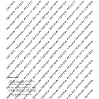 100 Classical and Romantical Études