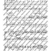 Cadenzas - Performing Score