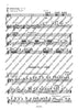 Orchestra Studies for Flute
