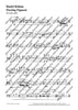 Fleeting Figment - Score