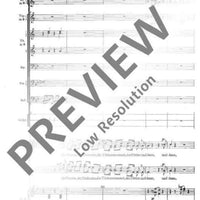 Die Musik kommt - Score