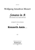 Rondo alla turca (Sonata in A, mvmt. 3) - Introductory Notes