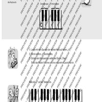 Wir tasten uns vor...
