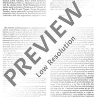 The Rudiments of Technique