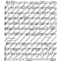 Tambourin - Set of Parts