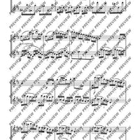 Duo D major - Performing Score