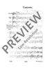 Concerto grosso D major - Full Score