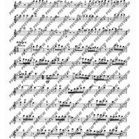 Concerto A minor - Set of Parts