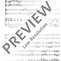 Concerto A minor - Score