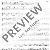 The sound of the flute