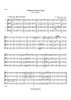 A Mozart Opera Suite - Score