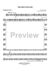 Trumpetenecho - Bb Trumpet 2
