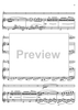 Spanish Concerto