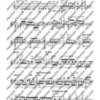 Cadenzas - Performing Score