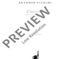 Concerto G Minor - Violin II