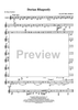 Dorian Rhapsody - Bass Clarinet