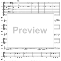 Concerto for Mandolin and Orchestra in F major - Score