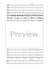 Fantasia di Concerto - Score