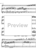Concerto No. 1 G Major KV313 - Score
