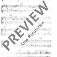 Concerto grosso G Minor - Violin I (solo And Rip.)