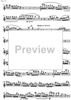 Quintetto Op.91 - Flute