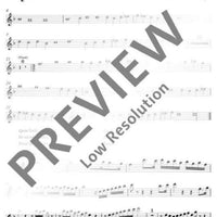 Vespro della Beata Vergine - Cornetto I