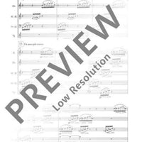 Alevi Dedeler raki masasinda - Score and Parts