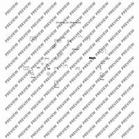 El Cimarrón - Performing Score