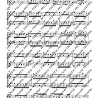 Flute Duets - Performing Score