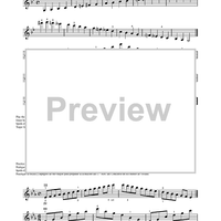 Suzuki Violin School, Volume 5 - Violin Part