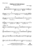 Temple of the Murals - Bass Clarinet
