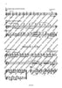 Orchestra Studies for Flute